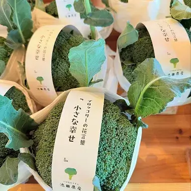 ブロッコリーの画像